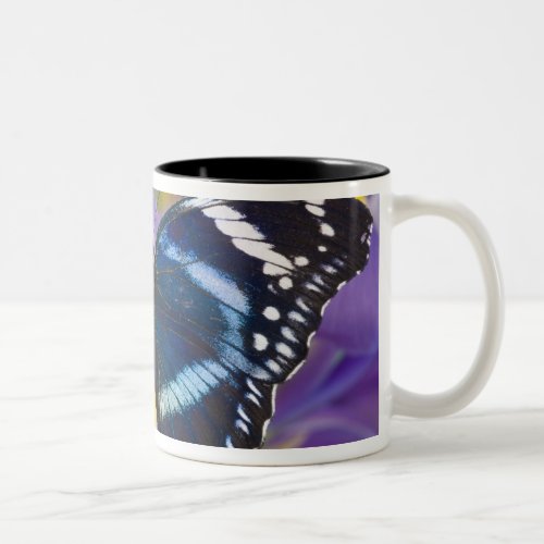 Sammamish Washington Tropical Butterflies 57 Two_Tone Coffee Mug