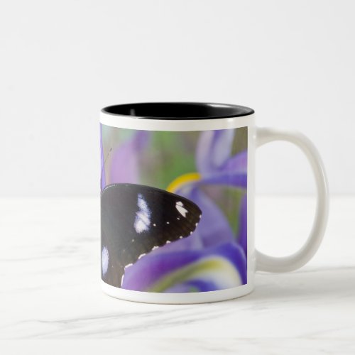 Sammamish Washington Tropical Butterflies Two_Tone Coffee Mug