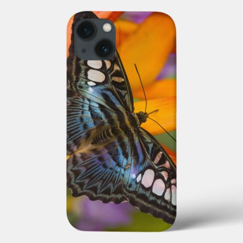 Sammamish Washington Tropical Butterfly 24 iPhone 13 Case