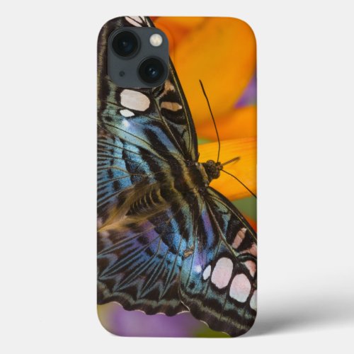 Sammamish Washington Tropical Butterfly 24 iPhone 13 Case