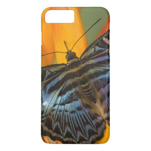 Sammamish Washington Tropical Butterfly 24 iPhone 8 Plus7 Plus Case