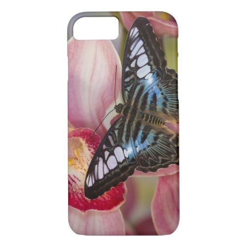 Sammamish Washington Tropical Butterfly 2 iPhone 87 Case