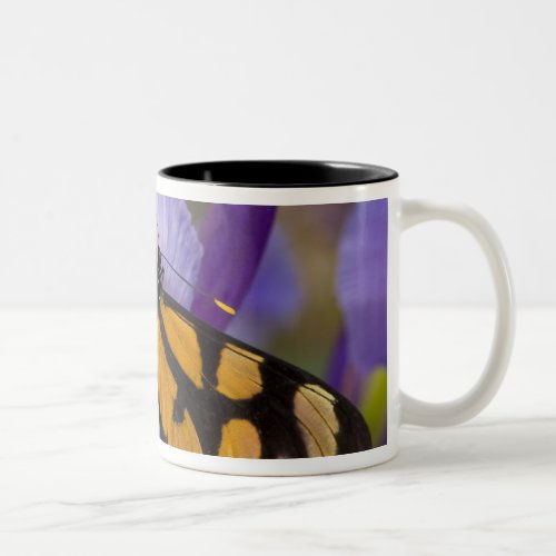 Sammamish Washington Tropical Butterfly 34 Two_Tone Coffee Mug