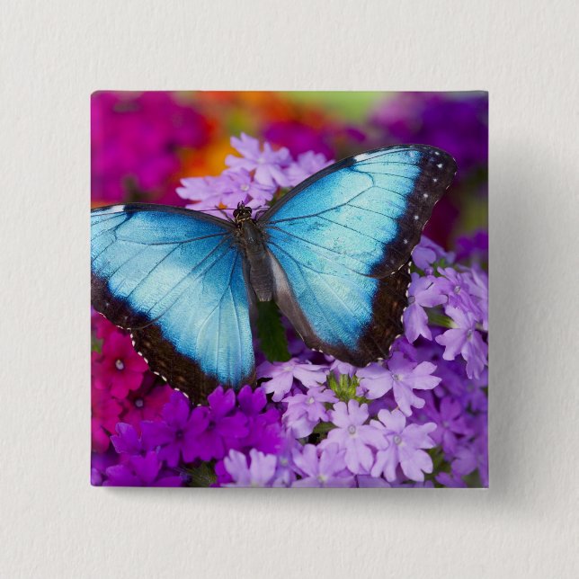 Sammamish Washington Tropical Butterfly Button (Front)