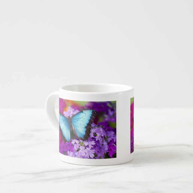 Sammamish Washington Tropical Butterfly Espresso Cup (Front Left)