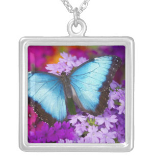 Sammamish Washington Tropical Butterfly Silver Plated Necklace