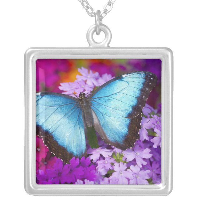 Sammamish Washington Tropical Butterfly Silver Plated Necklace (Front)