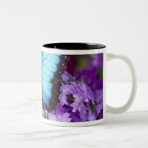 Sammamish Washington Tropical Butterfly Two-Tone Coffee Mug