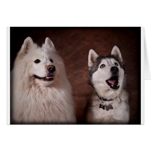 Samoyed and Husky Cards (Front Horizontal)