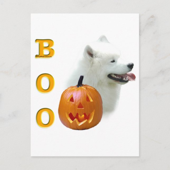 Samoyed Boo Postcard (Front)