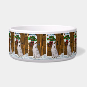 Samoyed Christmas  Bowl