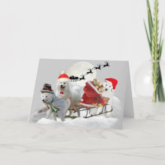 Samoyed Christmas Fun Holiday Card