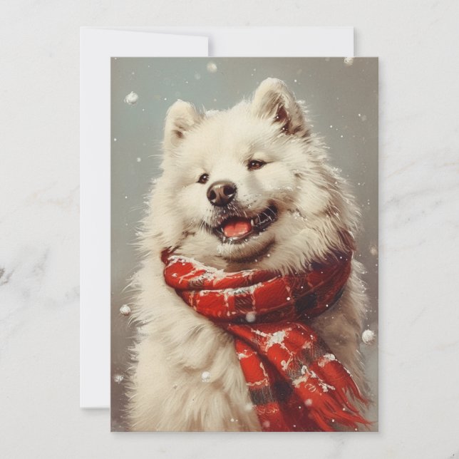 Samoyed Christmas  Holiday Card (Front)