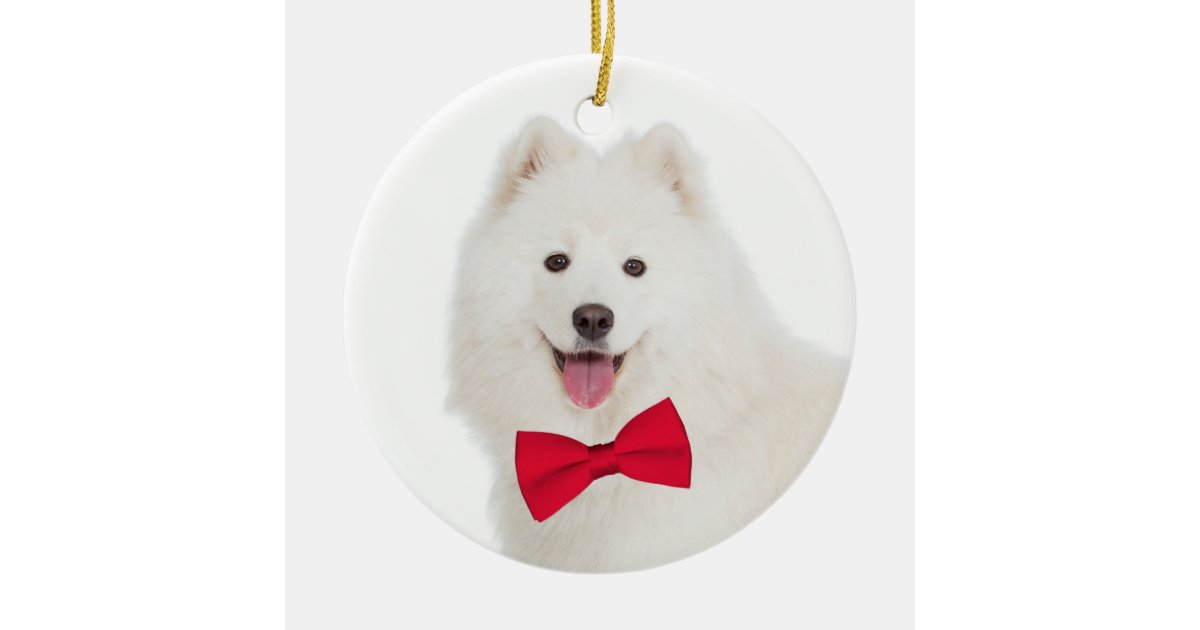 Samoyed Christmas Ornament Zazzle