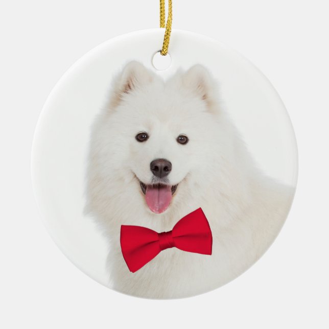 Samoyed Christmas Ornament (Front)