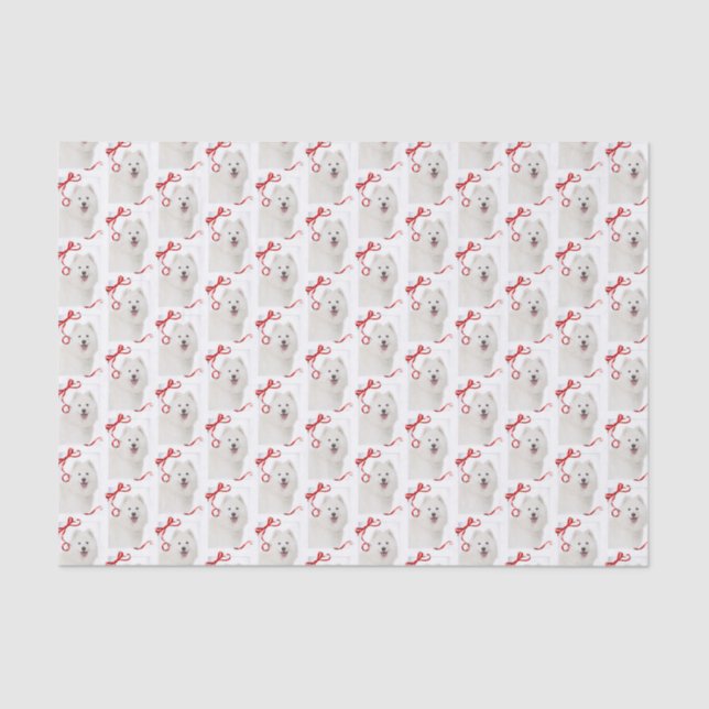 Samoyed Christmas Tissue Paper (Front)