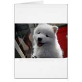 Samoyed Dog (Front)