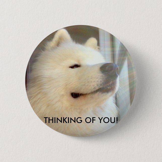 Samoyed dog Badge Thinking of You! Standard Size Button (Front)