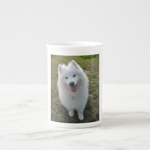 Samoyed dog beautiful photo bone china mug