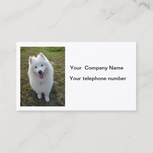 Samoyed dog beautiful photo business card
