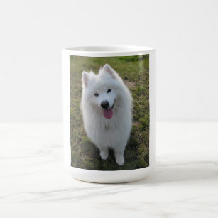 Samoyed dog beautiful photo coffe or tea mug