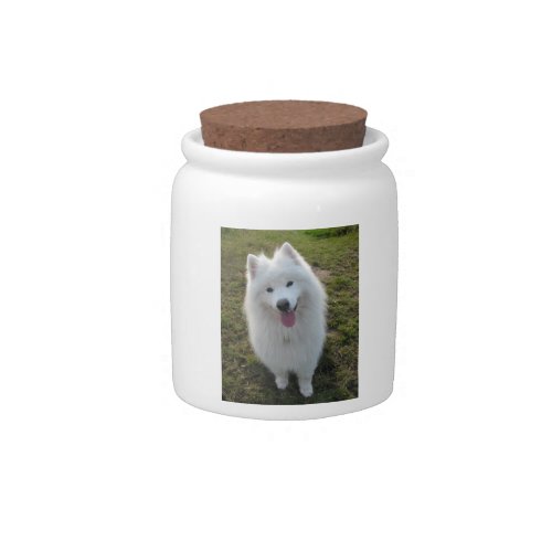 Samoyed dog beautiful photo cookie  candy jar