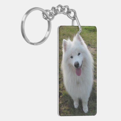 Samoyed dog beautiful photo gift keychain