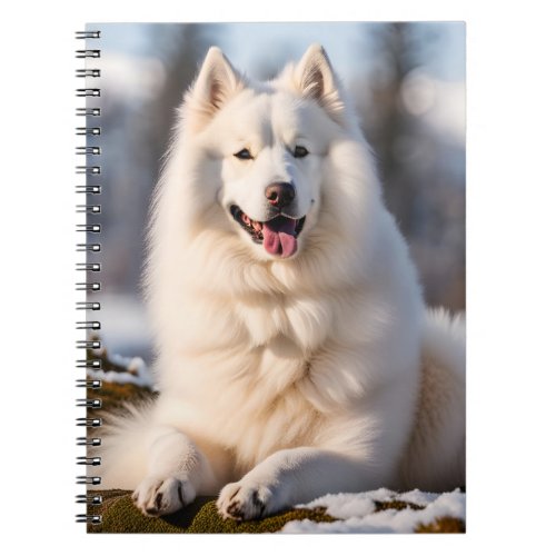 Samoyed dog beautiful photo notebook