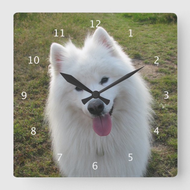 Samoyed hotsell themed gifts