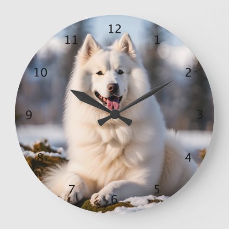 Samoyed Dog Beautiful Portrait In Snow Large Clock