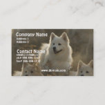 Samoyed Dog Breed Business Card