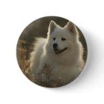 Samoyed Dog Breed Round Pin