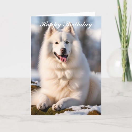 Samoyed dog custom happy birthday greeting card