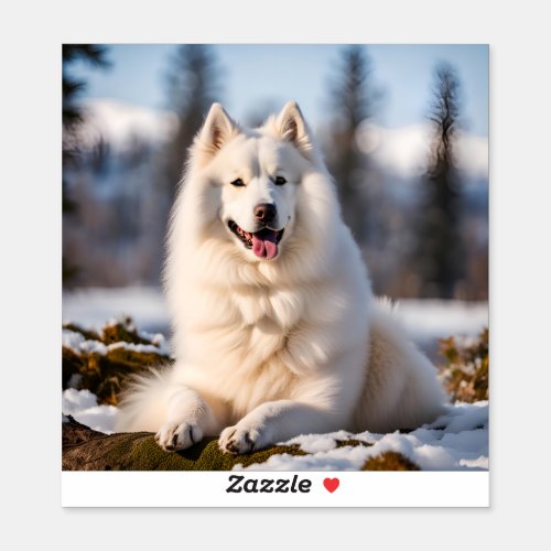 Samoyed dog in snow beautiful photo sticker