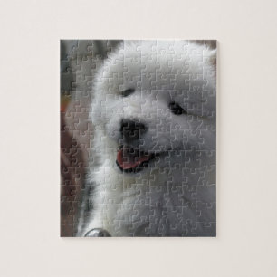 Samoyed Dog Jigsaw Puzzle