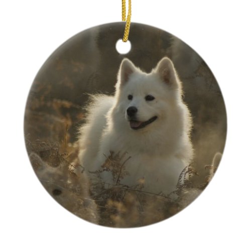 Samoyed Dog Ornament
