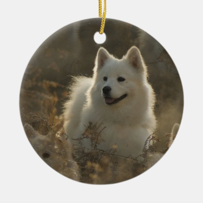 Samoyed Dog Ornament