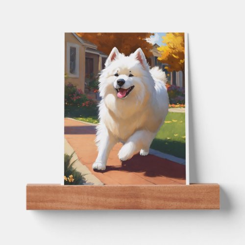  samoyed dog picture ledge