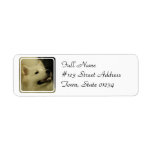 Samoyed Dog Return Address Label