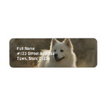 Samoyed Dog Return Address Label