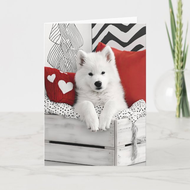 Samoyed Dog Valentine Card (Front)