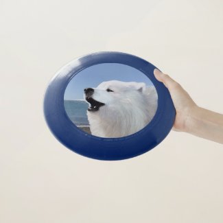 Samoyed  Frisbee - Choice of Color