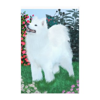 Samoyed Girl in Garden; Stretched Canvas Print