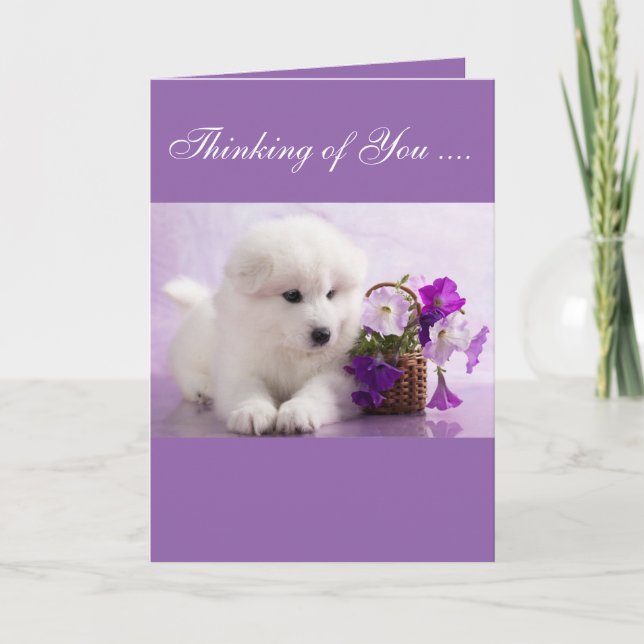 Samoyed Greeting Card; Thinking of You Card (Front)