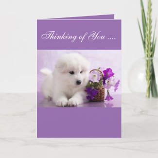 Samoyed Greeting Card; Thinking of You Card