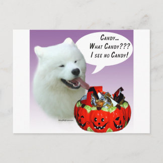 Samoyed Halloween Candy Postcard
