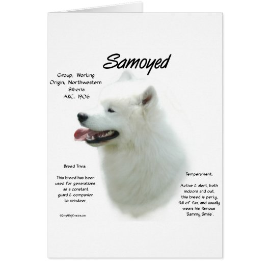 Samoyed History Design Cards (Front)
