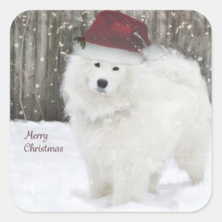 Samoyed Holiday Stickers--20 Rounded Squares Square Sticker