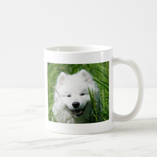 Samoyed In Grass Mug