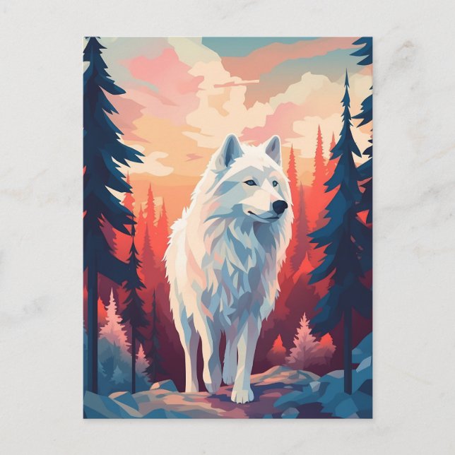 Samoyed in the forest during sunset postcard (Front)